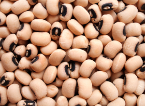 70566570-d45c-421c-acf0-afe76b797b90