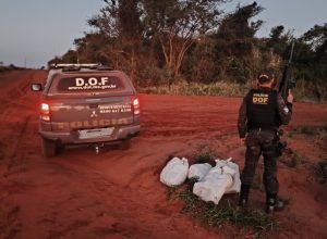 7613f89e-a4e9-44f3-a9d4-18ee79a96e16