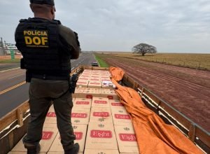 7719c1e7-d712-446a-a5c3-6bff38a06fa7