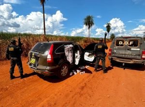 790e1ce5-d232-4273-9c85-220d94d28baa