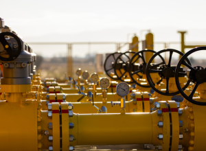 792b0e86-e347-428a-bb80-d64a00dc9f38