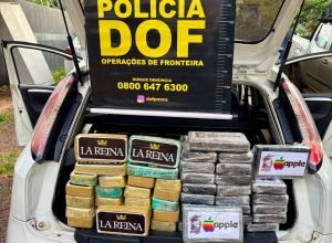 79764008-097f-4104-9180-f3f7e7425212