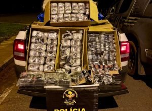 79ada545-a593-446e-89e6-7850f702266a