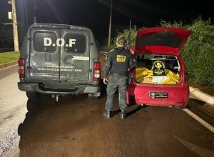 7a181d20-c6e0-4c4f-939c-fd71a44d1904