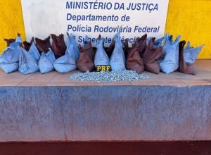 7f5015c2-062a-4ea6-b5bf-b69fbd0f66ca