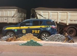 7fe4a601-22d4-46ad-81b6-9504557df946