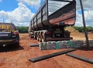 85462a5b-d7f5-43be-b4ee-24d8df01ae73