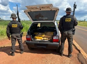 8944e749-68ed-44cb-a198-340c873a7f14