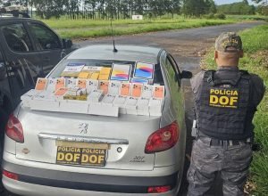 89a6a6f8-2e37-4ad7-b4e2-2ecf9d083dba