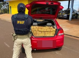 8deda434-70ba-4bff-a555-fea5e822c153