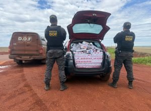 8f25a986-59a0-4c11-9d0a-48f3a81cbb93