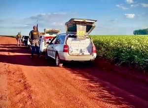 901f847d-493a-4c94-ab0e-b6e4eb738281