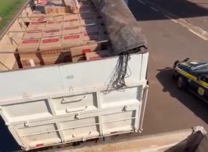 96cde068-defa-4969-ae98-1fe7a3247a15