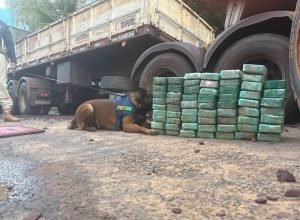 9ab28615-0e18-46c0-ab69-b81d7315f73e