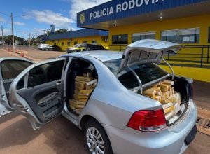 9b5e4d1b-d79e-413a-a9c3-096571b03e7d