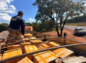 9b782c82-111b-4382-86da-2e7f82e91192