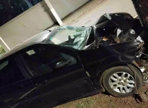 Acidente-arvore-1536x864