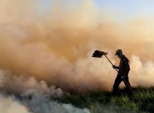 Alunos-do-corpo-de-Bombeiros-passam-por-treinamento-de-combate-Foto-Saul-Schramm5-e1718380864295-730x480