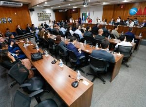 Ana-Ali-Cartilha-Eleitoral-2026-2-730x480