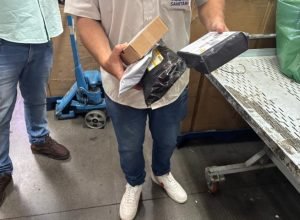 Apreensoes-Vigilancia-Andre-Lima-SES-730x480