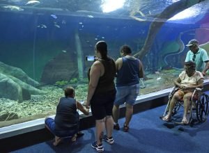 Bioparque-Pantanal-Foto-Bruno-Rezende-42-730x480