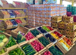 CEASA-IMAGENS-4-730x480