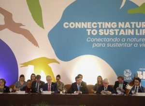 COP15-Segmento-de-Alto-nivel-Foto-Alvaro-Rezende-06-730x480