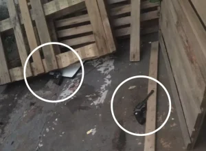 Canva-2025-02-02T072403.588-1536x864