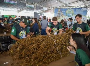 Carapa-Festa-do-Pe-de-Soja-Destaque-Alvaro-Rezende