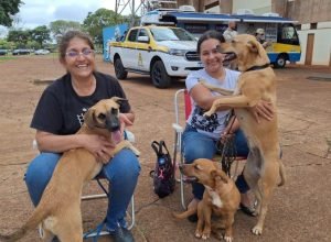 Caravana-da-Castracao-Ddos-Isa-dos-Santos-Foto-Victor-Arguelo-ViceGov-730x480