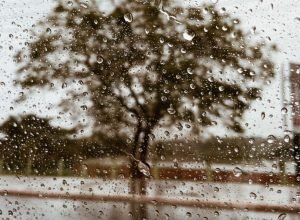 Chuva-Ilustrativa-Nathalia-Alcantara-2