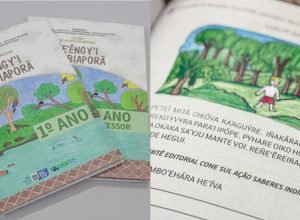 Coletanea-MS-Alfabetiza-Indigena-730x480