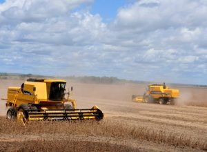 Colheita-de-soja-Foto-Alvaro-Rezende-730x480