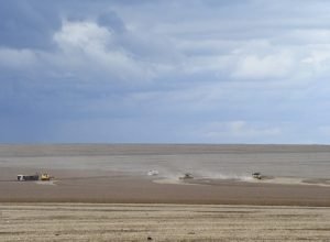 Colheita-de-soja-Foto-Bruno-Rezende-730x480