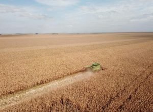 DJI_0250_0