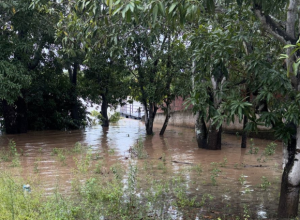 Defesa_Civil_-730x425