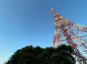 Design-sem-nome-2025-09-27T060118.702