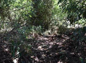 Design-sem-nome-34-1-1536x864