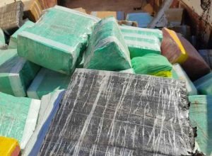 Drogas-ponta-milho-1