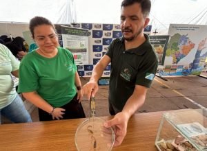 Escorpioes.-Foto-Helton-Davis-1-730x480