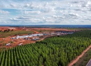 Fabrica-Industria-Arauco-Inocencia-foto-Saul-Schramm2-730x480