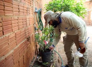 Foto-Alvaro-Rezende-11-730x480-1 (1)