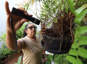 Foto-Alvaro-Rezende-8-730x480