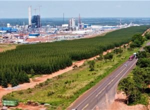 Foto-Saul-Schramm-1-730x480