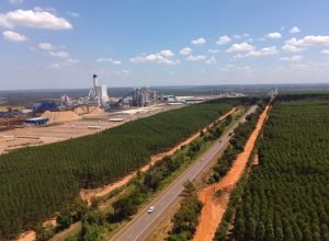 Fotos-Alvaro-Rezende-13-730x480