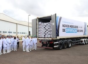 Fotos-Alvaro-Rezende-2-730x480