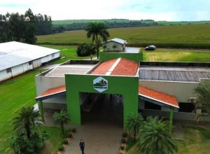 Fundacao-MS-Foto-Saul-Schramm-730x480