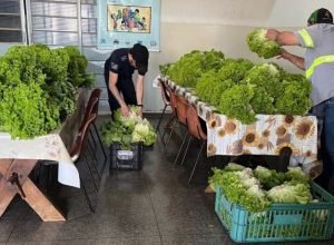 Horticultura-no-presidio-de-Caarapo-1-730x480