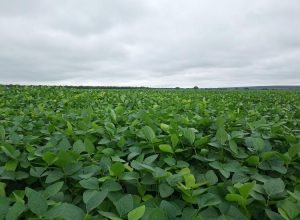 IMG_20221214_082324_857_0