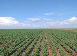 IMG_20231017_153503452_0